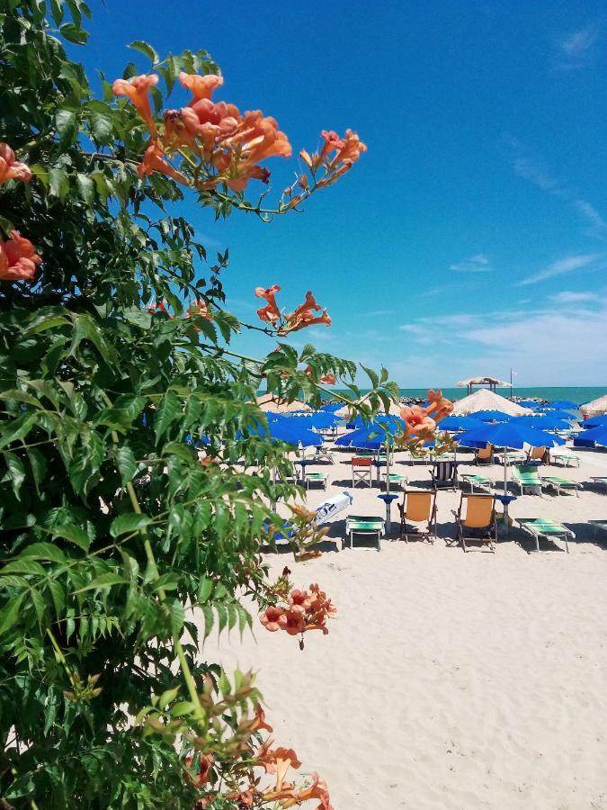 Appartamento Alba Rosa Francavilla Al Mare Dış mekan fotoğraf